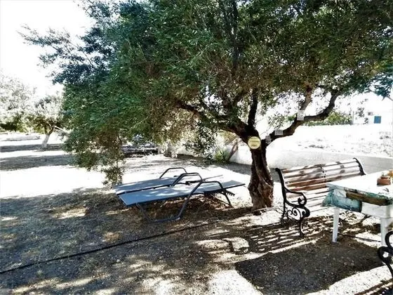 Apart Daire, 1 Yatak Odası, Balkon