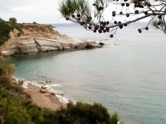 Apart Daire, 1 Yatak Odası, Balkon