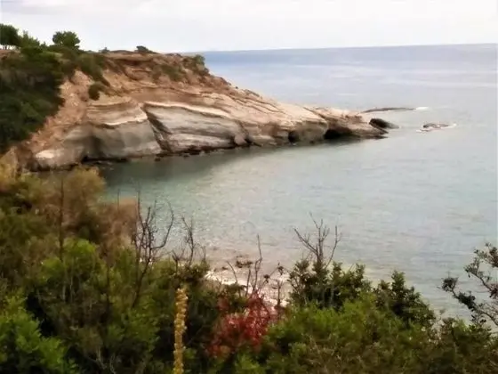Apart Daire, 1 Yatak Odası, Balkon