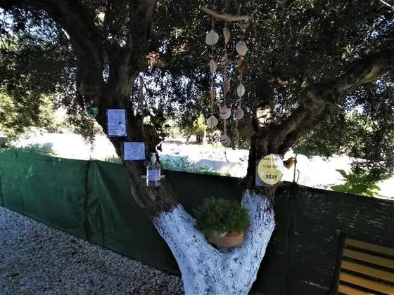 Apart Daire, 1 Yatak Odası, Balkon