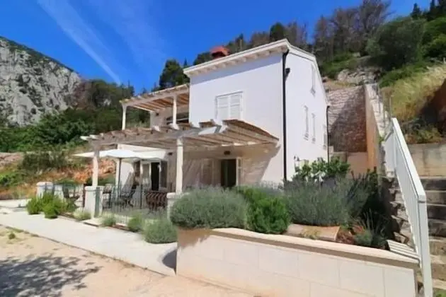 Apart Daire (1 Bedroom with Terrace)