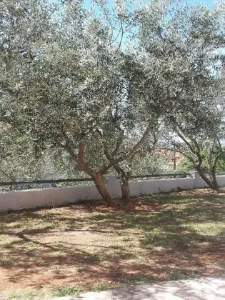 Apart Daire, 1 Yatak Odası (1)