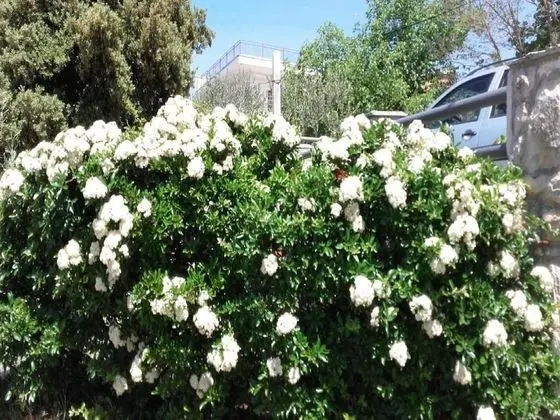 Apart Daire, 1 Yatak Odası (1)