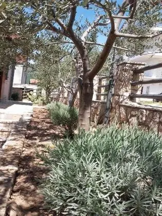 Apart Daire, 1 Yatak Odası (2)