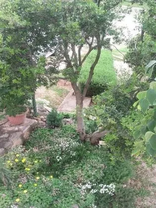 Apart Daire, 1 Yatak Odası (2)