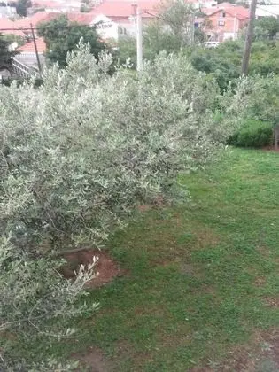 Apart Daire, 1 Yatak Odası (2)