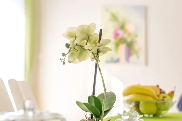 Family Apart Daire, 2 Yatak Odası