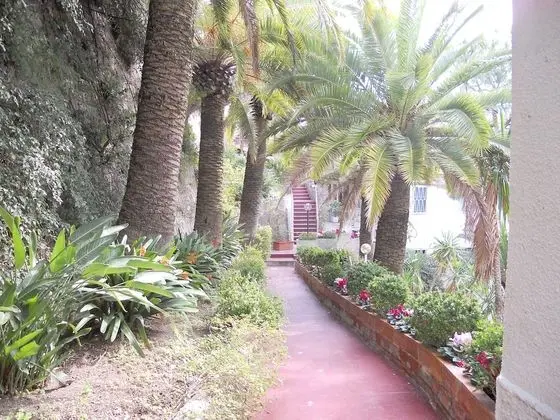 Apart Daire, 1 Yatak Odası, Sigara İçilebilir, Teras