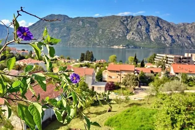 Panoramic Apart Daire, Deniz Manzaralı