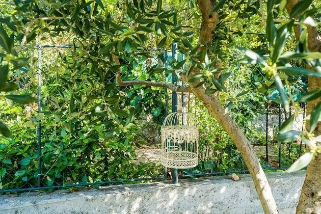 Apart Daire (Superior 1 Bedroom Apt with Balcony)