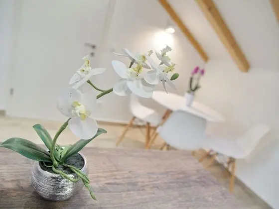 Stüdyo (Studio with Terrace and Sea View)