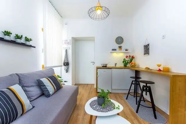 Deluxe Apart Daire, 1 Büyük (Queen) Boy Yatak ve Çekyat, Sigara İçilmez, Küçük Mutfak