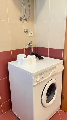 Apart Daire (One Bedroom Apartment with Balcony)