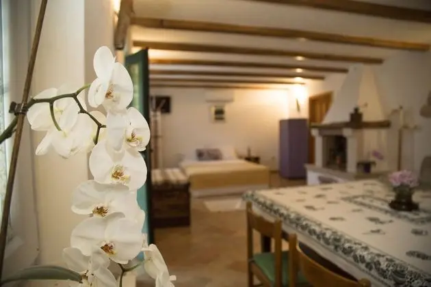 Romantic Stüdyo, Teras, Bahçe Manzaralı (Ground Floor Maxi)