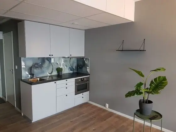 Apart Daire (1 Bed)