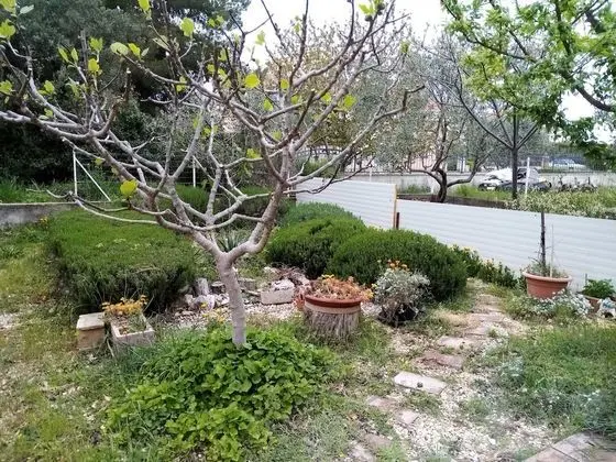 Apart Daire (Two Bedroom Apartment with Terrace)