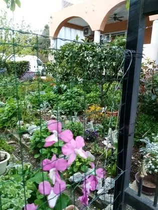 Apart Daire (Two Bedroom Apartment with Terrace)