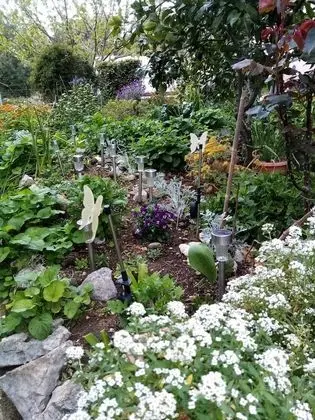 Apart Daire (Two Bedroom Apartment with Terrace)