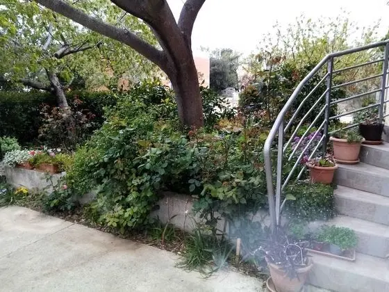 Stüdyo (Studio Apartment with Terrace)