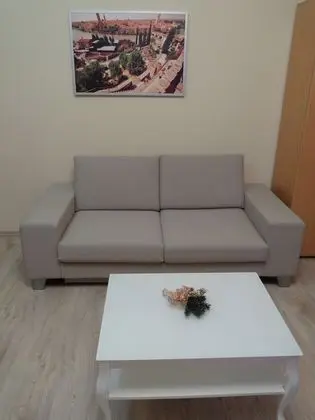 Superior Apart Daire, 1 Yatak Odası