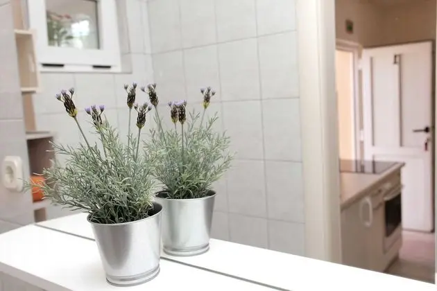 Standard Apart Daire