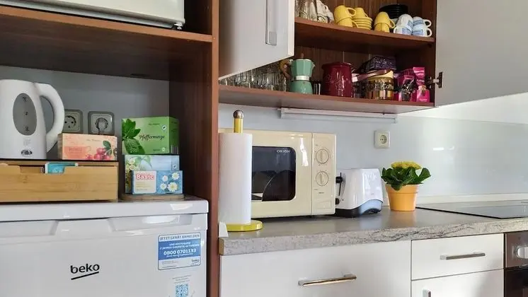 Panoramic Apart Daire, 1 Yatak Odası, Balkon, Dağ Manzaralı