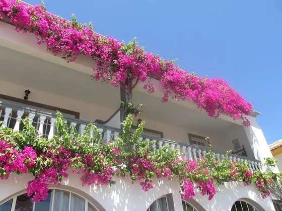 Panoramic Stüdyo, Deniz Manzaralı (4)