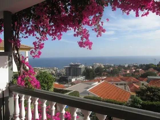 Panoramic Stüdyo, Koy Manzaralı (3)