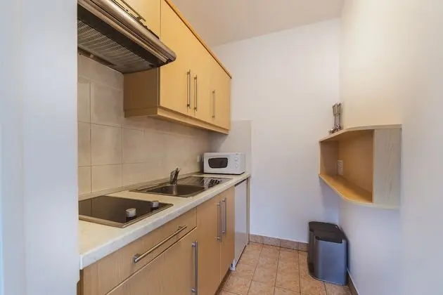 Apart Daire, 1 Yatak Odası, Balkon, Dağ Manzaralı (Kitchen - 3 to 5 Adult)