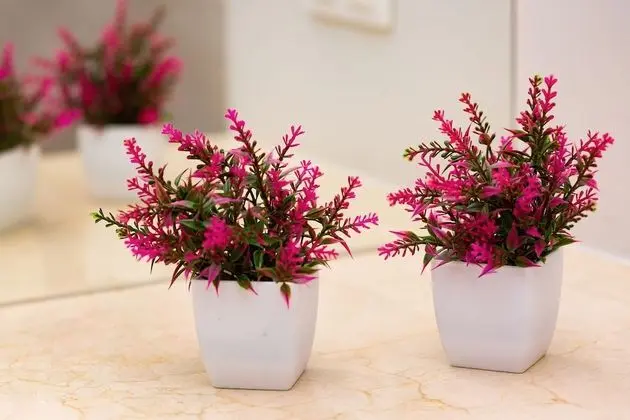 Apart Daire, 1 Yatak Odası, Balkon