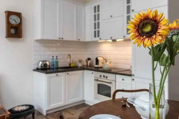 Apart Daire, 1 Yatak Odası