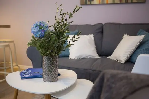 Comfort Apart Daire, 1 Yatak Odası (Bonaca)