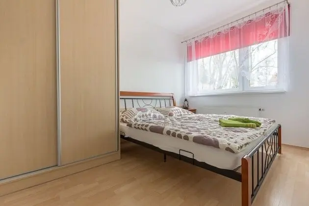 Standard Apart Daire, 1 En Büyük (King) Boy Yatak ve Çekyat