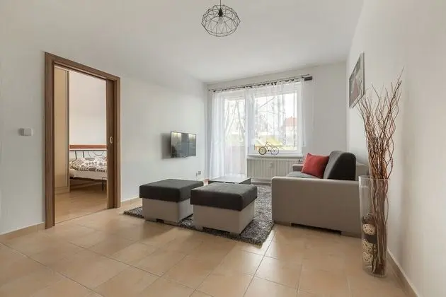 Standard Apart Daire, 1 En Büyük (King) Boy Yatak ve Çekyat