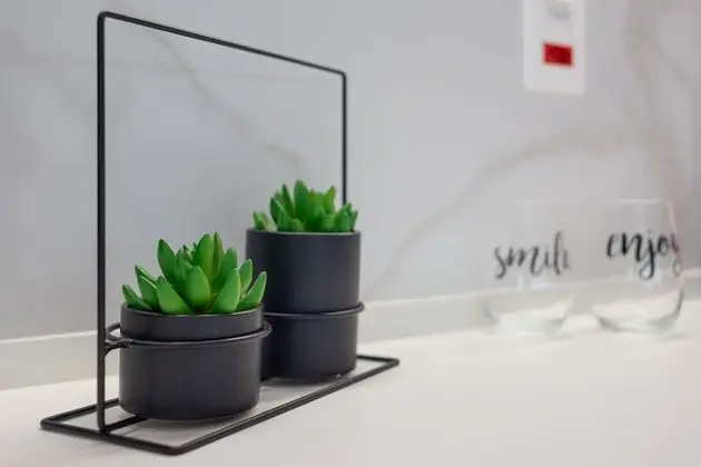 Comfort Stüdyo Süit