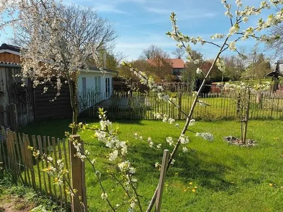 Bungalov, Engellilere Uygun, Özel Banyo