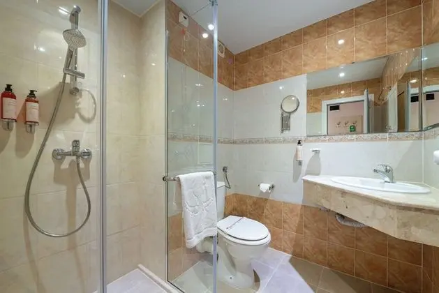 Standard Tek Büyük veya İki Ayrı Yataklı Oda, Balkon, Park Manzaralı