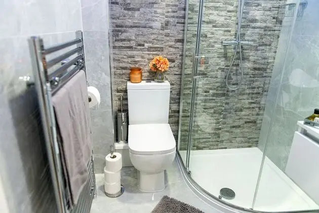 Deluxe Apart Daire, Banyolu/Duşlu (Deluxe Apartment Suite)