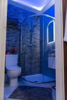 Deluxe Apart Daire, Banyolu/Duşlu (Deluxe Apartment Suite)