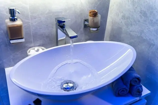 Deluxe Apart Daire, Banyolu/Duşlu (Deluxe Apartment Suite)