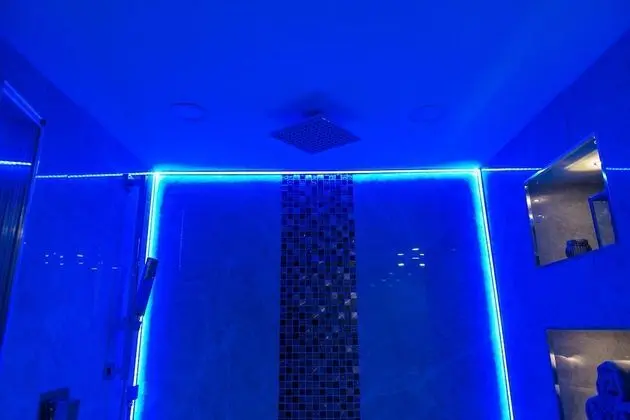 Executive Süit, Banyolu/Duşlu (Ground Floor Flat)