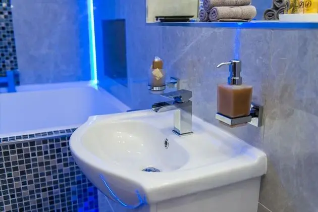 Executive Süit, Banyolu/Duşlu (Ground Floor Flat)