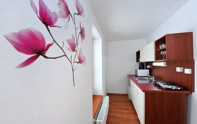 Family Apart Daire, Küçük Mutfak