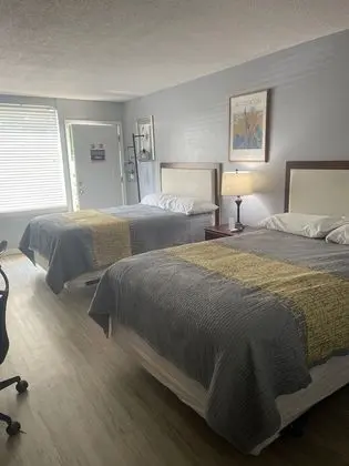 Deluxe Oda, 2 Çift Kişilik Yatak, Sigara İçilmez