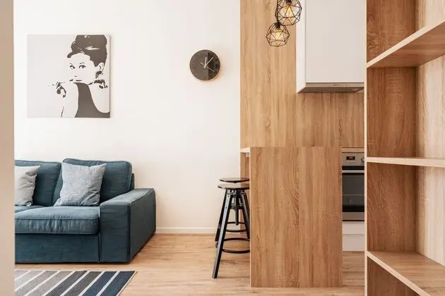 Economy Apart Daire, 1 Yatak Odası, Şehir Manzaralı (Prievozska 10)