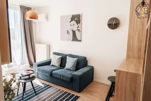 Economy Apart Daire, 1 Yatak Odası, Şehir Manzaralı (Prievozska 10)