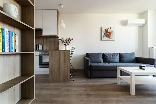 Standard Apart Daire, 1 Yatak Odası, Şehir Manzaralı (Prievozska 10)