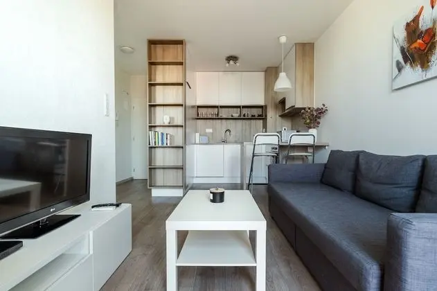 Standard Apart Daire, 1 Yatak Odası, Şehir Manzaralı (Prievozska 10)