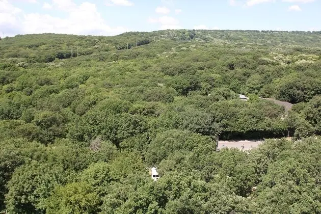 Tek Büyük veya İki Ayrı Yataklı Oda, Balkon, Park Manzaralı