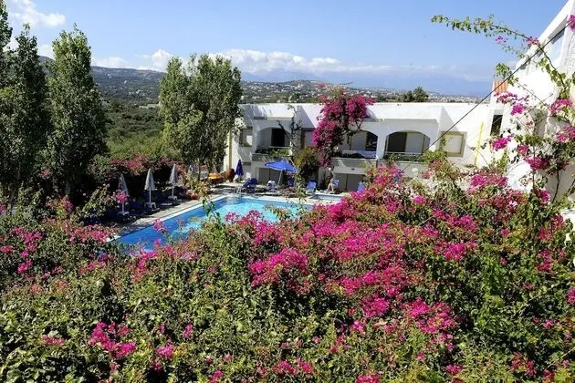 Studio Garden Level